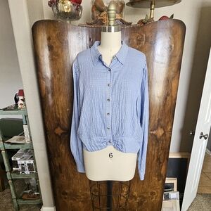 Free People Blue Button-Up Blouse
